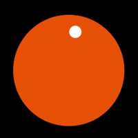 Principle 2