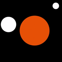 Principle 3
