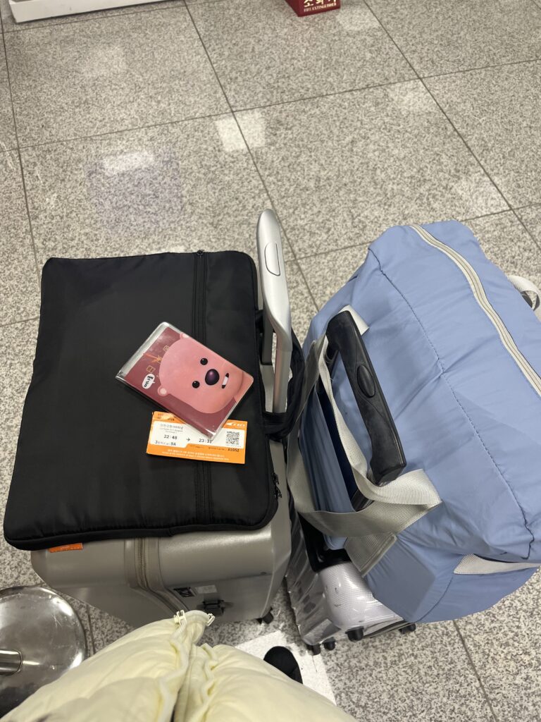 失敗しない韓国航空券の予約術!LCC比較とコツ - IMG 0430 失敗しない韓国航空券の予約術!LCC比較とコツ 19
