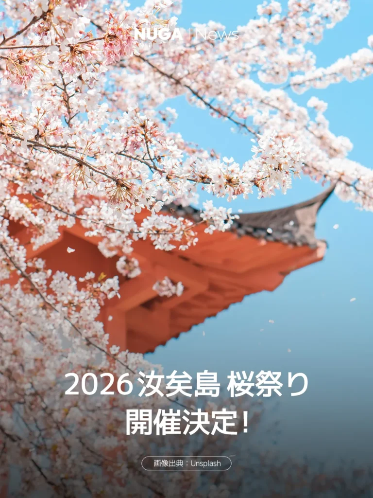 2026 汝矣島 桜祭り 開催決定！ 14