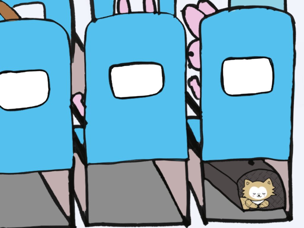 日本から韓国 犬 持ち込み体験記:15歳の老犬・みいちゃんと歩んだ移住の記録(第3話) - 2026 02 25 日本から韓国 犬 持ち込み体験記:15歳の老犬・みいちゃんと歩んだ移住の記録(第3話) 12