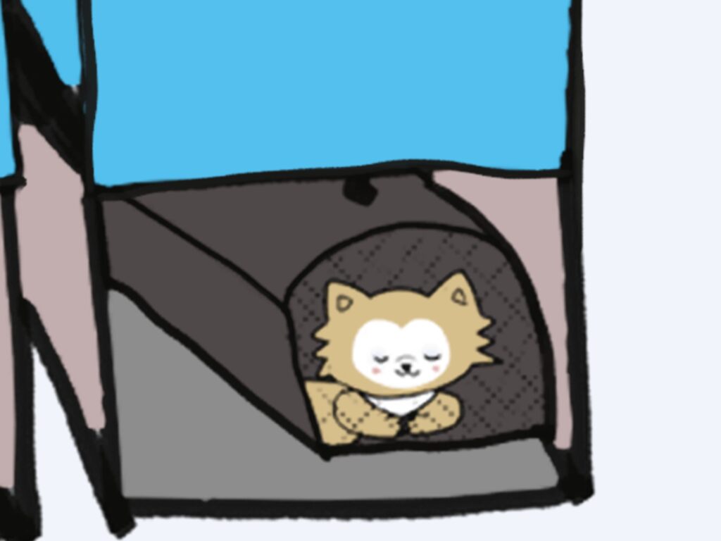 日本から韓国 犬 持ち込み体験記:15歳の老犬・みいちゃんと歩んだ移住の記録(第3話) - 2026 02 25 2 日本から韓国 犬 持ち込み体験記:15歳の老犬・みいちゃんと歩んだ移住の記録(第3話) 13