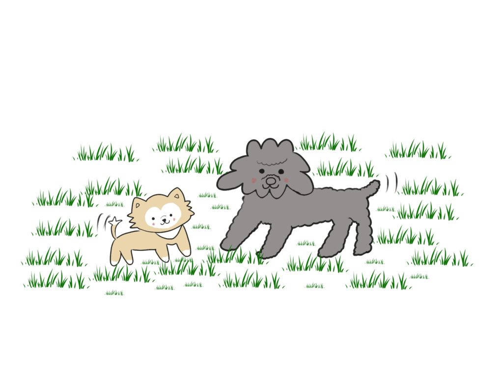 日本から韓国 犬 持ち込み体験記:15歳の老犬・みいちゃんと歩んだ移住の記録(第3話) - 2026 02 25 5 日本から韓国 犬 持ち込み体験記:15歳の老犬・みいちゃんと歩んだ移住の記録(第3話) 14