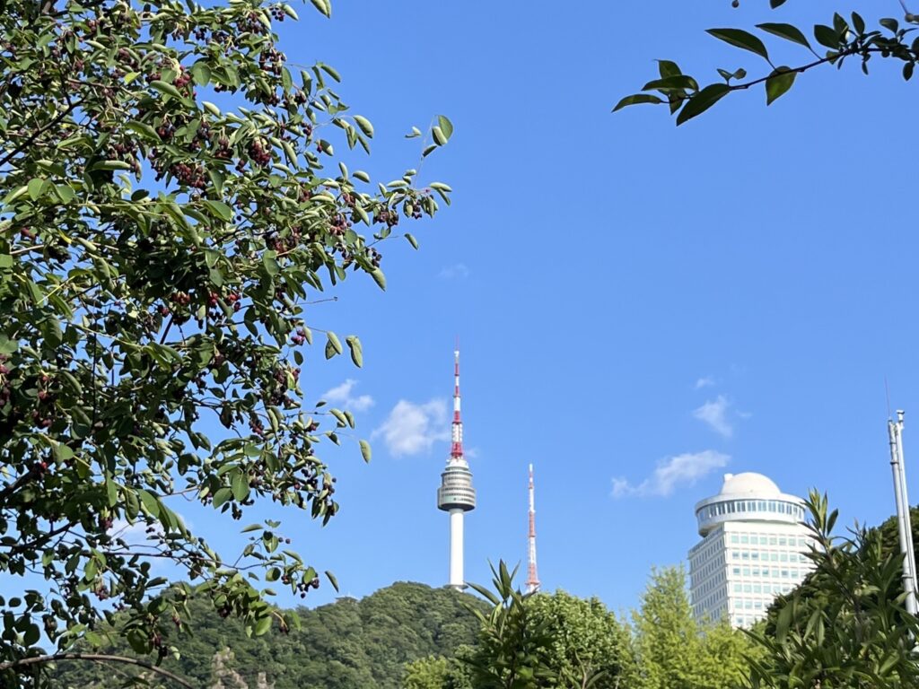 韓国旅行初心者ガイド!到着前にチェック!2026韓国旅行で知っておくべき基本情報 - IMG 8556 ソウルの中心であり象徴でもある南山(ナムサン)とNソウルタワーです。ここへ登れば、ソウルのダイナミックなパノラマビューを一望でき、旅行客にとって必須の観光コースとして愛されています。