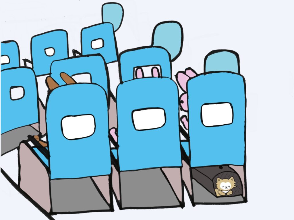 日本から韓国 犬 持ち込み体験記:15歳の老犬・みいちゃんと歩んだ移住の記録(第3話) - JPEG 이미지 4F5A A1C6 63 0 日本から韓国 犬 持ち込み体験記:15歳の老犬・みいちゃんと歩んだ移住の記録(第3話) 11