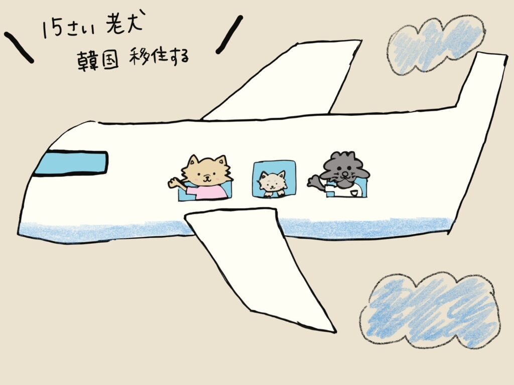 日本から韓国 犬 持ち込み体験記:15歳の老犬・みいちゃんと歩んだ移住の記録(第3話) - KakaoTalk 20260220 111443821 04 日本から韓国 犬 持ち込み体験記:15歳の老犬・みいちゃんと歩んだ移住の記録(第3話) 10