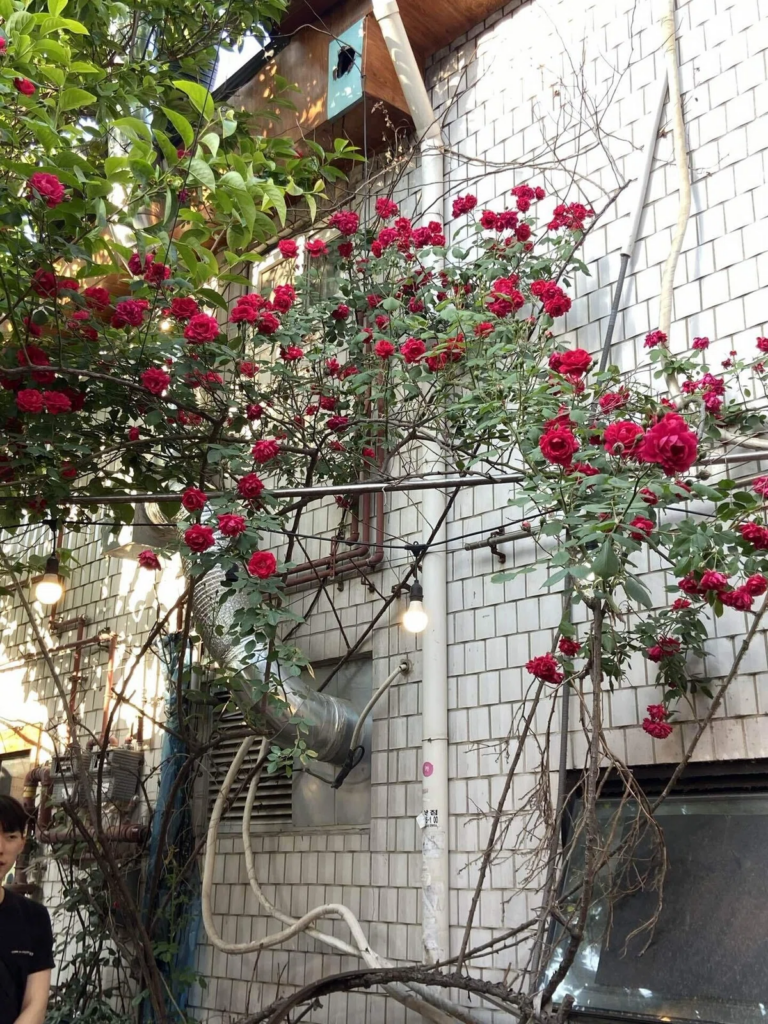 韓国でアルバイトを始めるには？探し方から、忘れてはいけない「資格外活動許可」申請方法まで詳しく解説！ 15