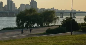 韓国でアルバイトを始めるには？探し方から、忘れてはいけない「資格外活動許可」申請方法まで詳しく解説！ 9