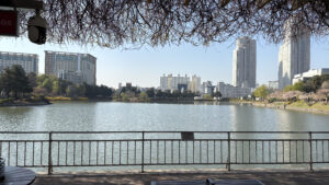 konkuk university