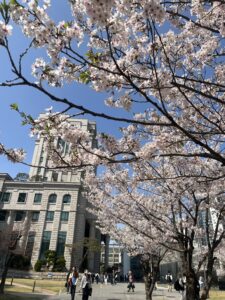 韓国外国語大学 KFL学部　編入生✏️　奨学金・単位認定について🎓💴 8