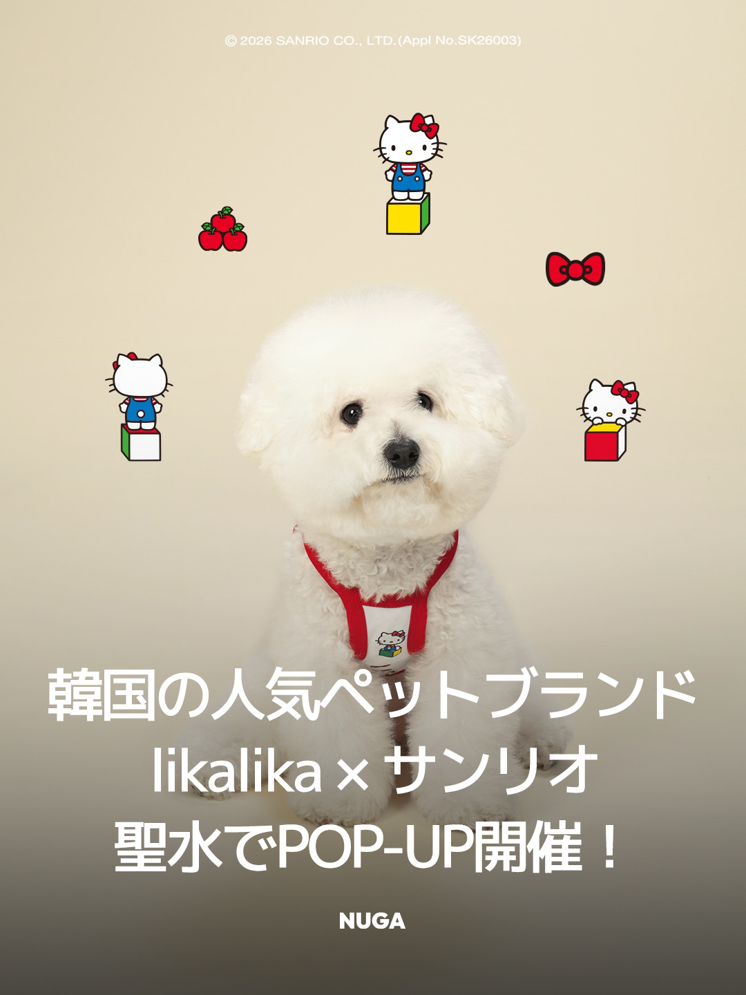 韓国限定・日本未発売】likalika × ポチャッコ ハーネス（L）リード 犬