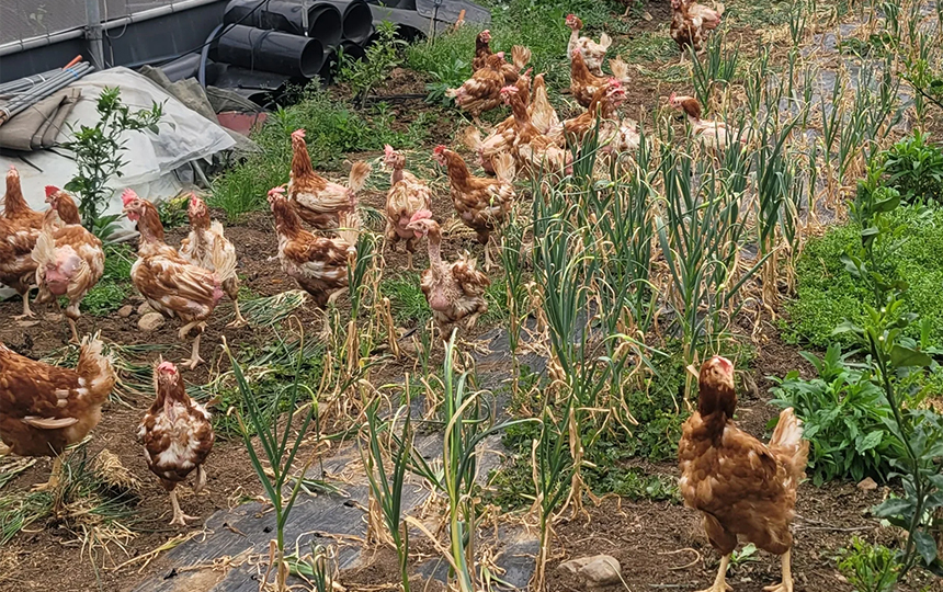 3月第4週韓国 韓国主要トピック まとめ - image 13 3月第4週韓国 韓国主要トピック まとめ 23