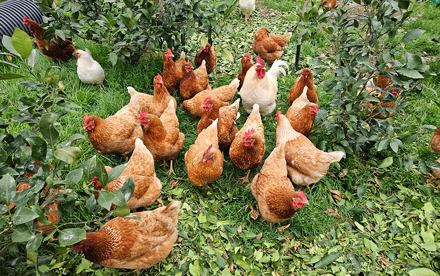 3月第4週韓国 韓国主要トピック まとめ - image 14 3月第4週韓国 韓国主要トピック まとめ 24