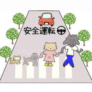 【日韓夫婦】 韓国 運転文化 違い：日本人妻が怯えたクラクションと夫の思いやり (Ep.08) 8