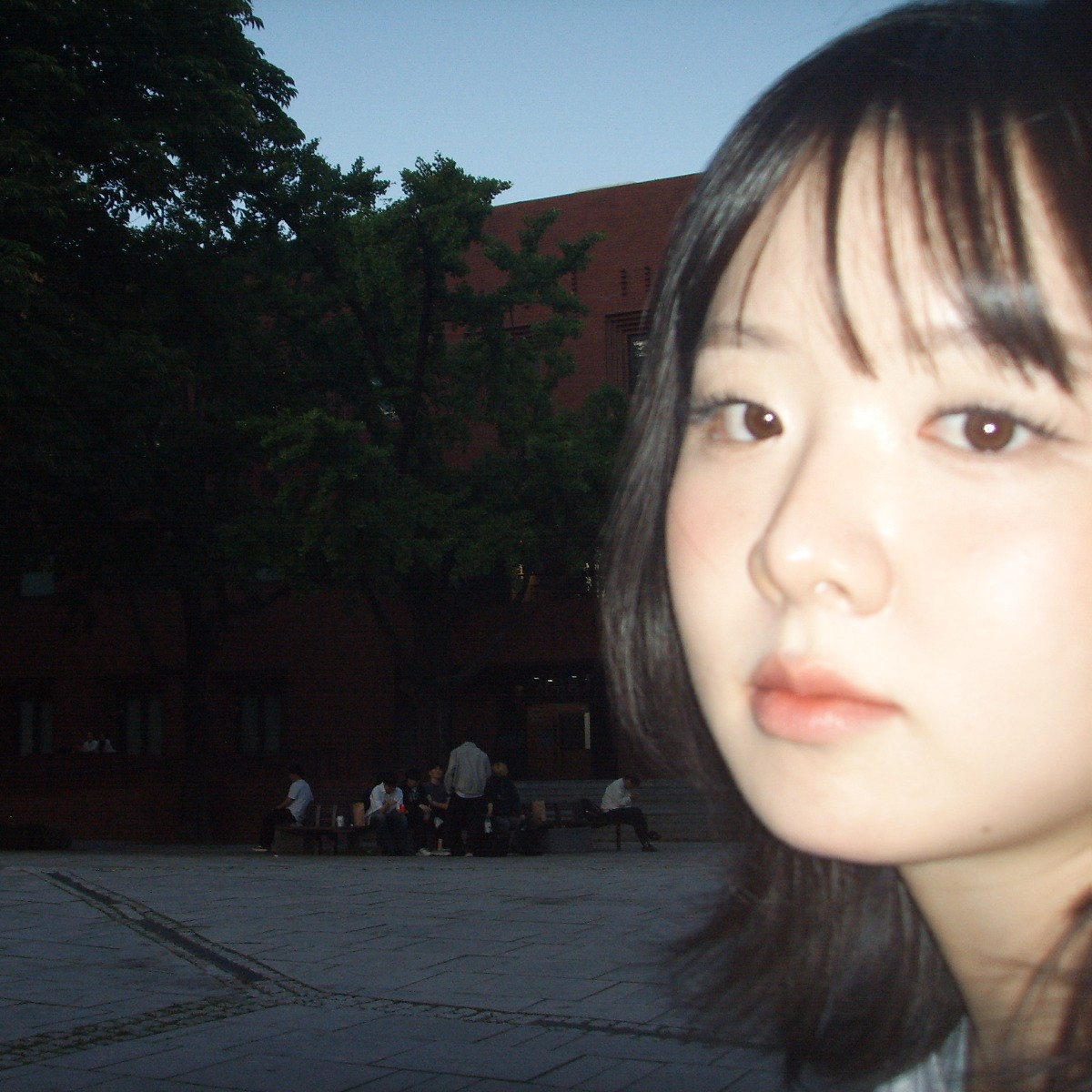 Mirumong 에디터 프로필