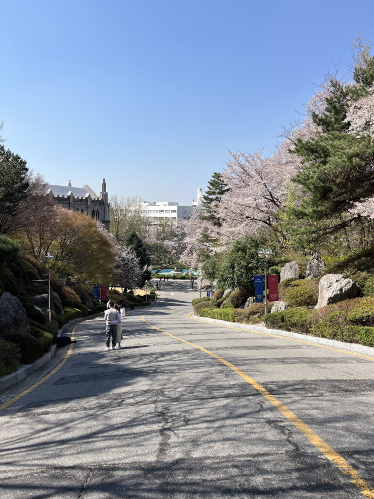 【2026年最新】美しい本館で知られる慶熙大学を訪問! - 평화의전당 가는 길 【2026年最新】美しい本館で知られる慶熙大学を訪問! 23