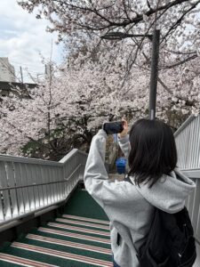 のすけ 에디터 프로필
