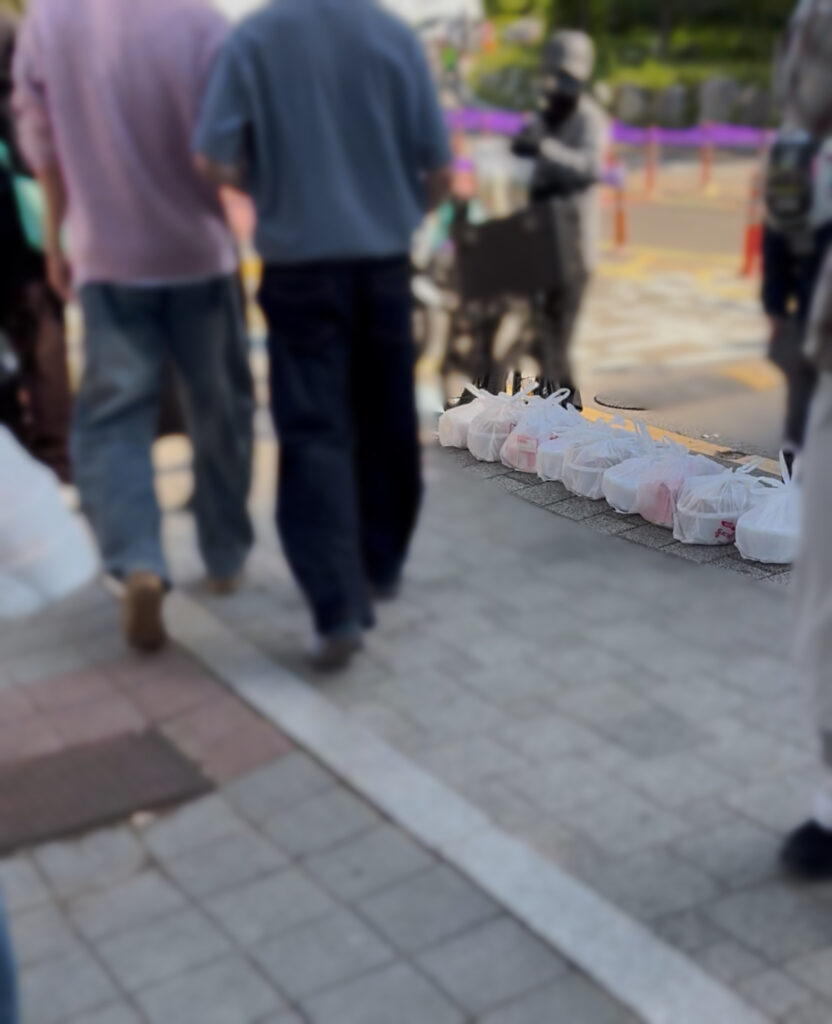 SEOUL SPRING FESTIVALに行ってきた🌸🪅漢江(ハンガン)ピクニック&驚きの韓国出前文化 - IMG 6749 SEOUL SPRING FESTIVALに行ってきた🌸🪅漢江(ハンガン)ピクニック&驚きの韓国出前文化 18