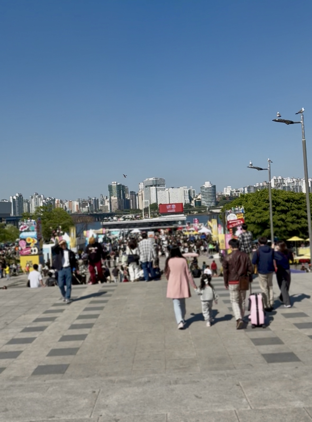 韓国　ハンチング SEOUL SPRING FESTIVALに行ってきた🌸🪅漢江（ハンガン）ピクニック