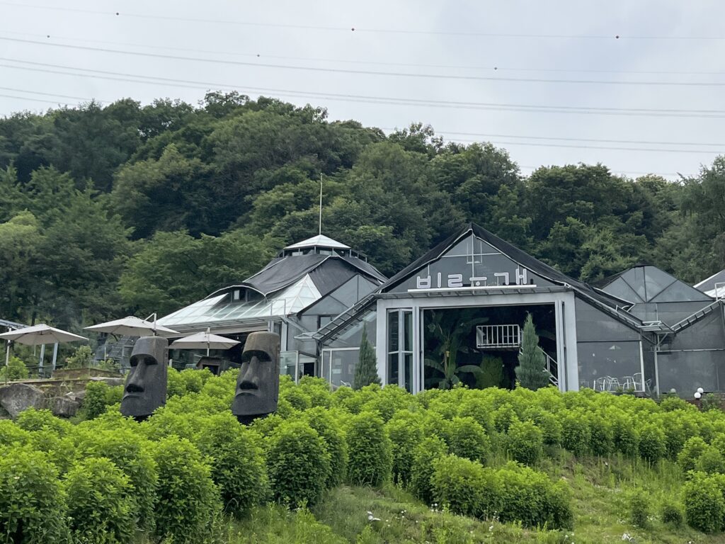 南陽州(ナムヤンジュ)で見つけた巨大"植物カフェ" - KakaoTalk 20260603 212938748 南陽州(ナムヤンジュ)で見つけた巨大"植物カフェ" 10