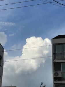 留学生パソコン＆タブレット事情📄💚 14